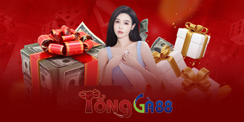 Khuyến mãi Tongga88 - Đặt cược thả ga, nhận thưởng cực đã